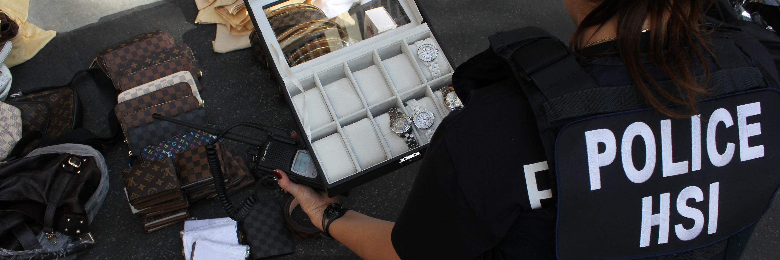 National IPR Center banner