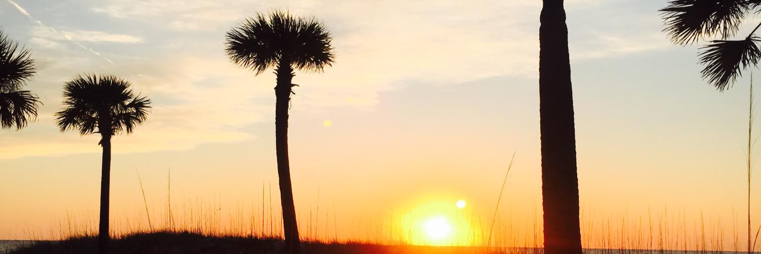 JessicaLRoyer's profile banner image