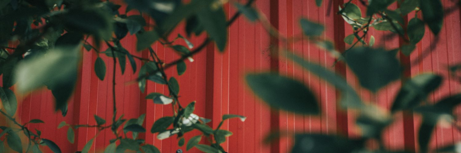 ayosarav's profile banner image