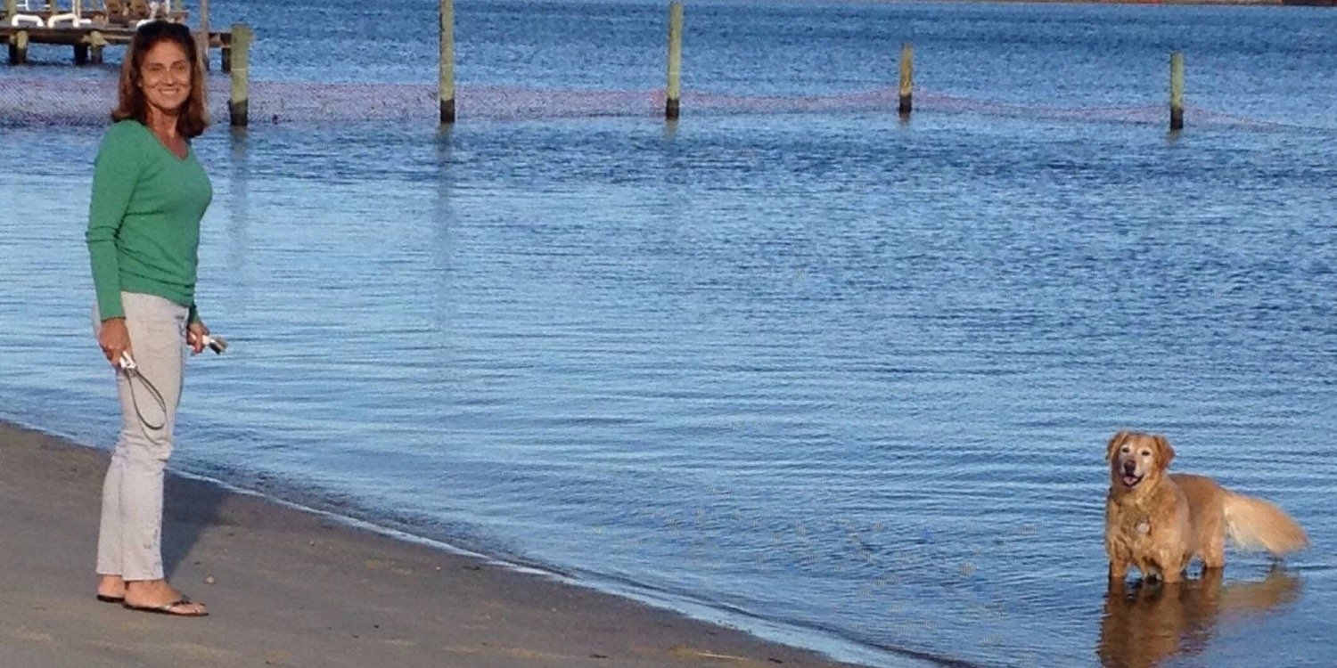 NJ Small Business banner