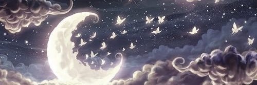 Loretta_Proia's profile banner image