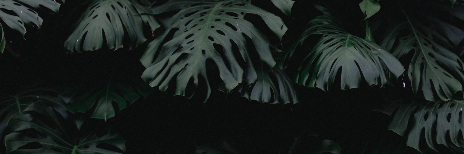 itsbae_'s profile banner image