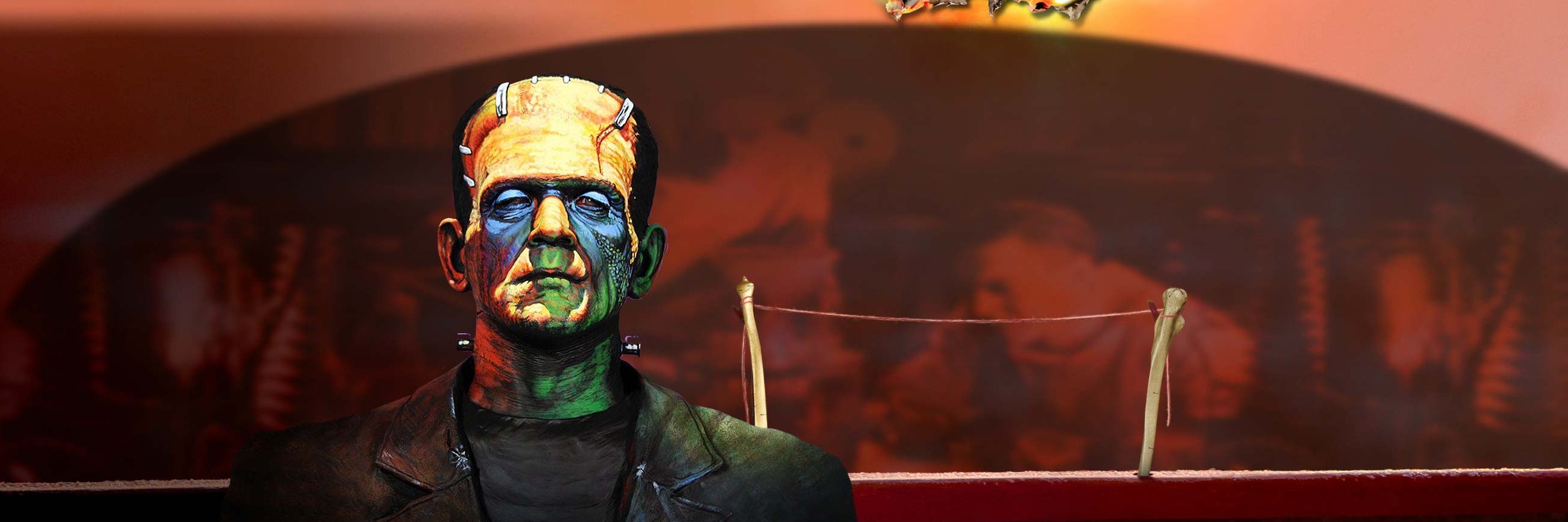 edoross's profile banner image