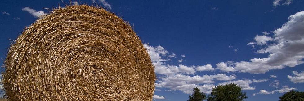 LaOtegui's profile banner image