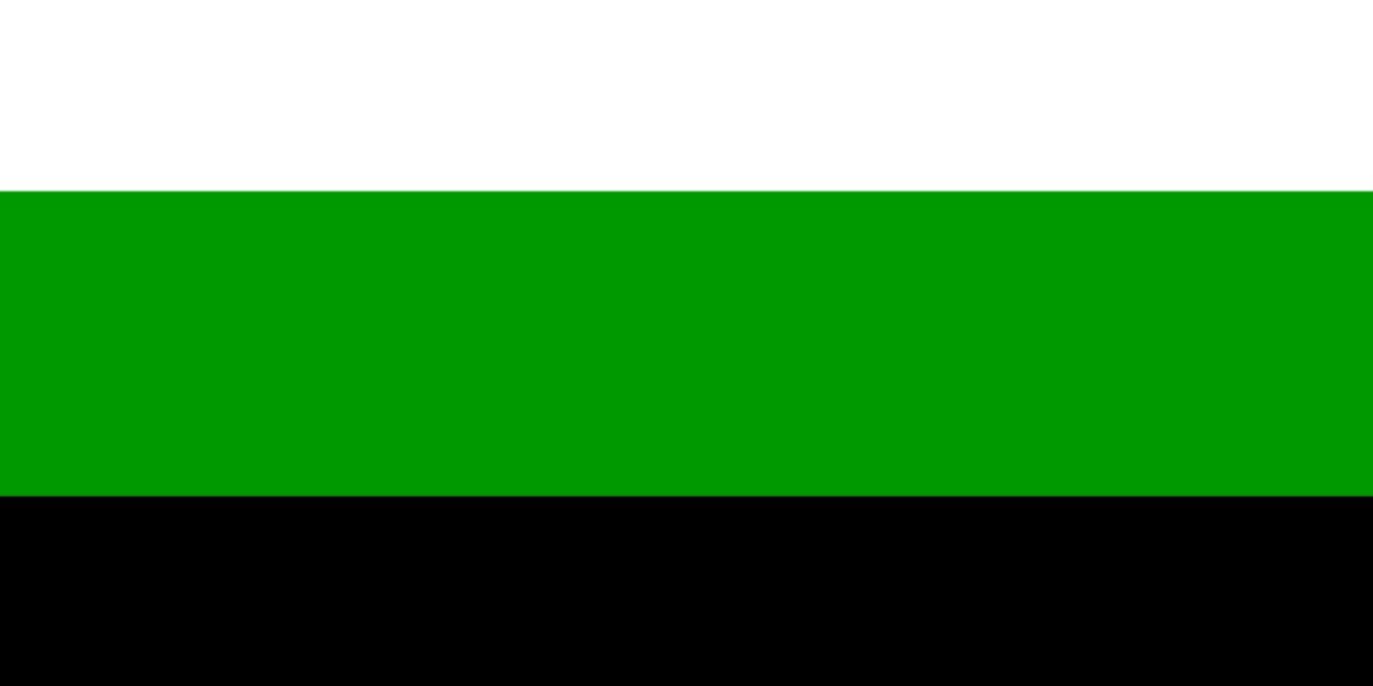 shamrockceltic's profile banner image