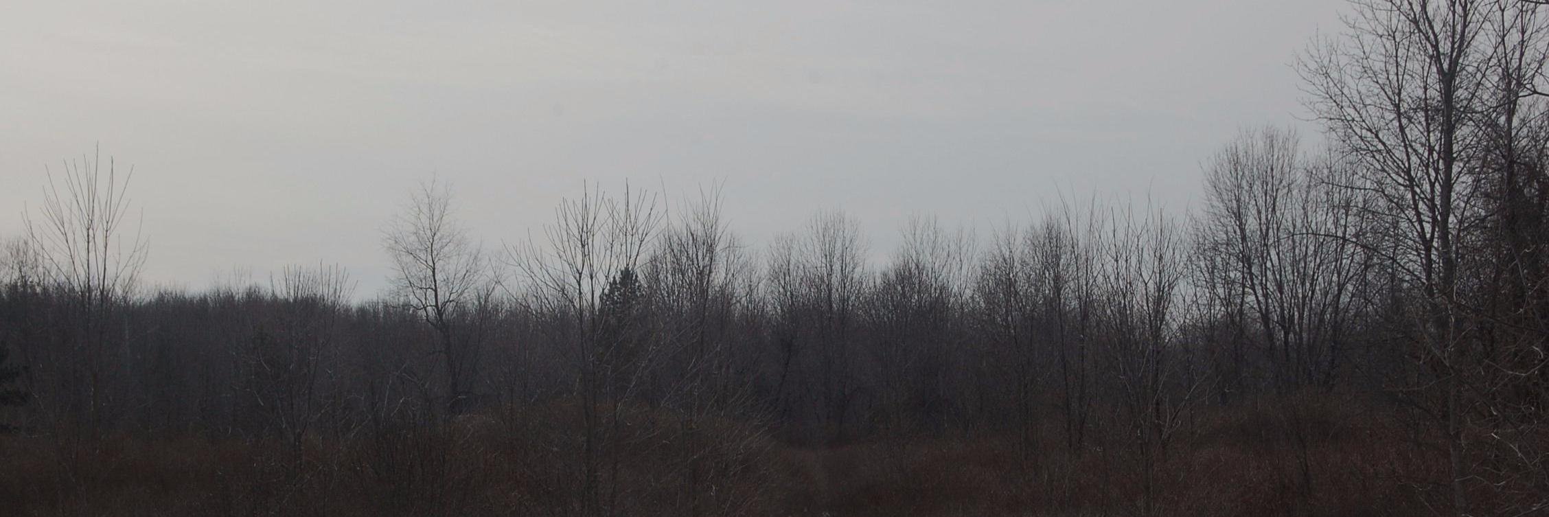 JuleneP's profile banner image