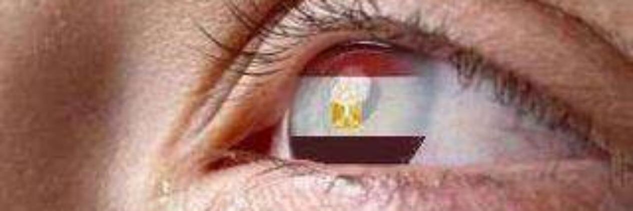 حمدى السيد banner