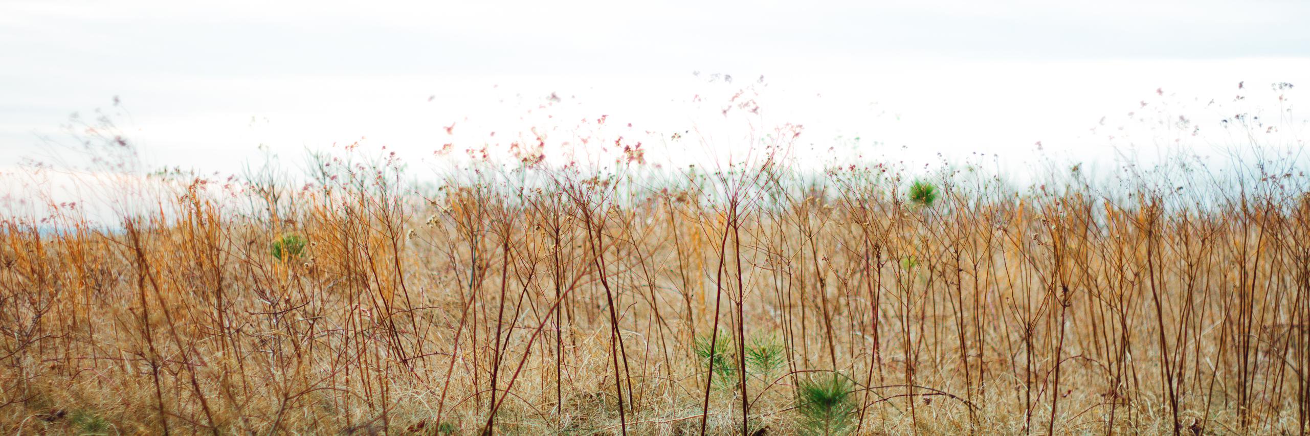 TheaMonje's profile banner image