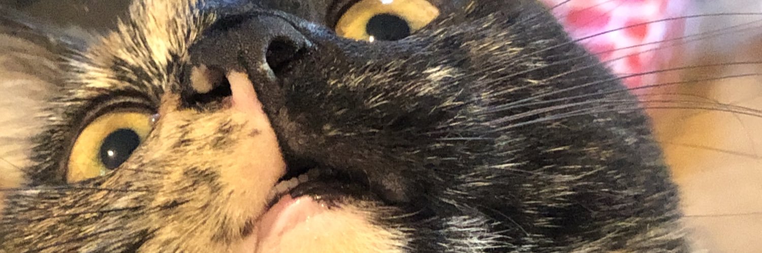 thembeau's profile banner image