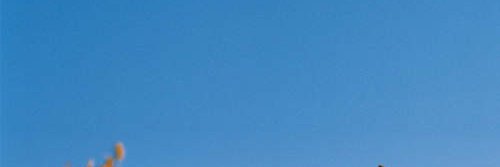 flaneurcomics's profile banner image