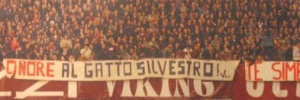 rocesari's profile banner image