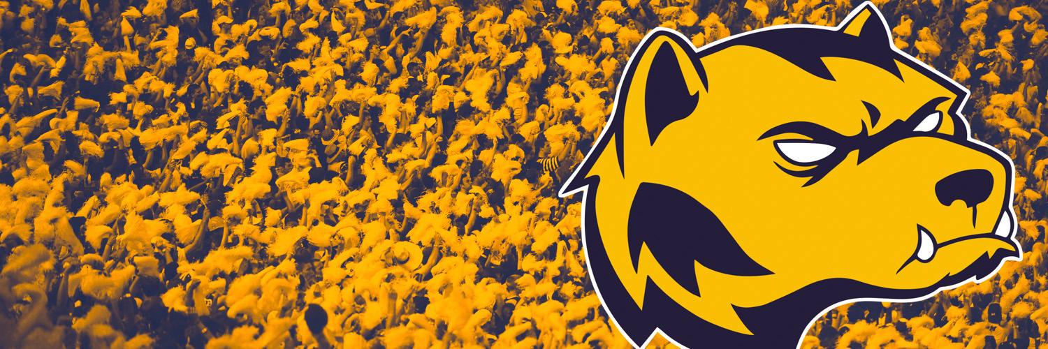 Michigan on Scout banner