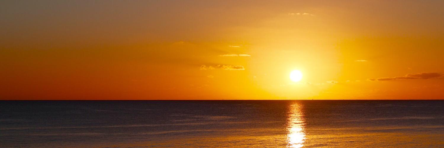 Matty Hayward banner