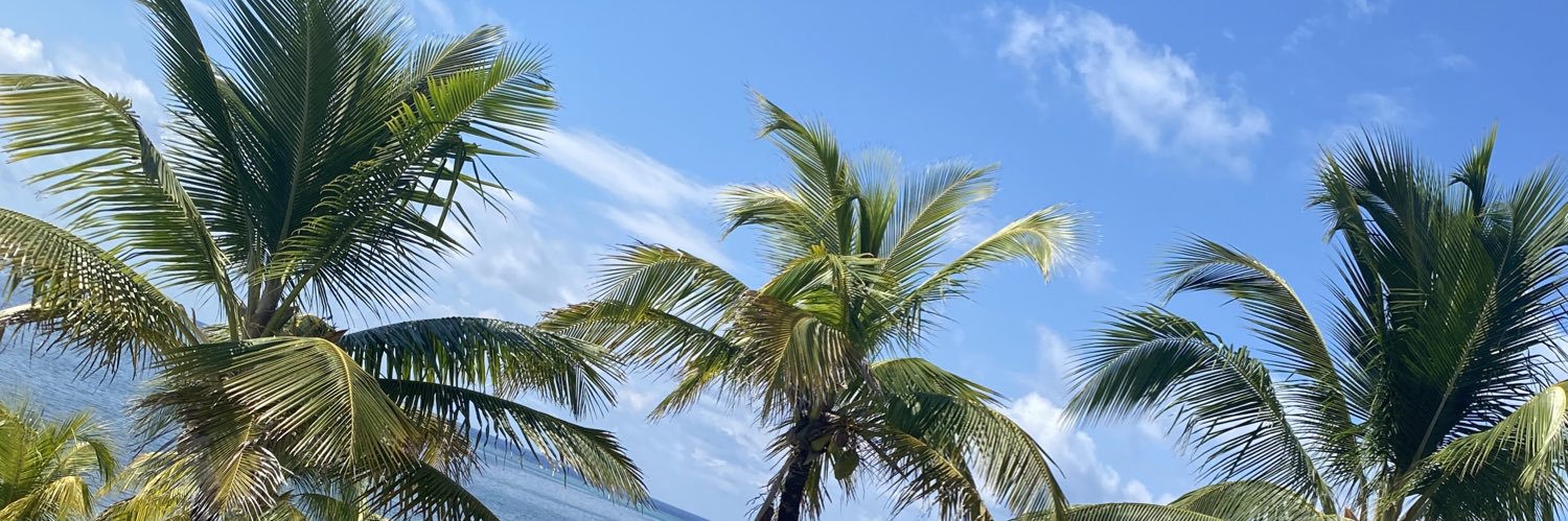 aaKelly95's profile banner image
