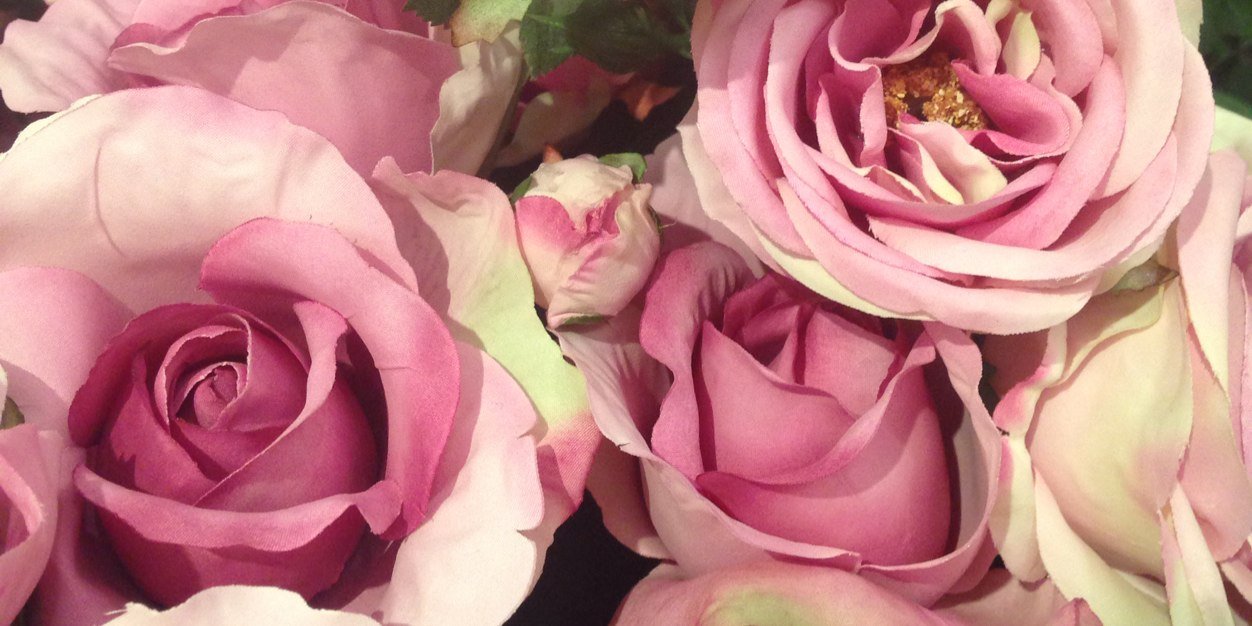 appleforsummer's profile banner image