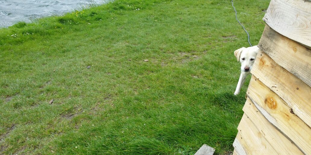 aka lymington banner