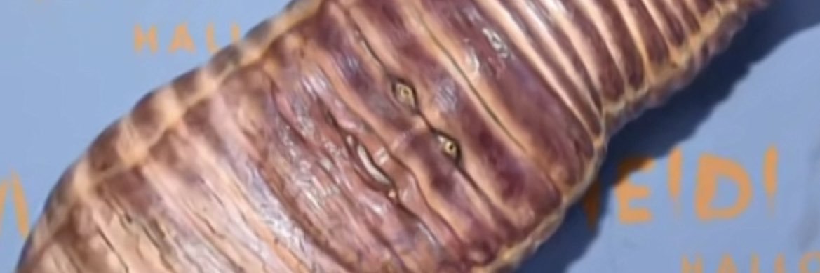 Dylan Patridge banner