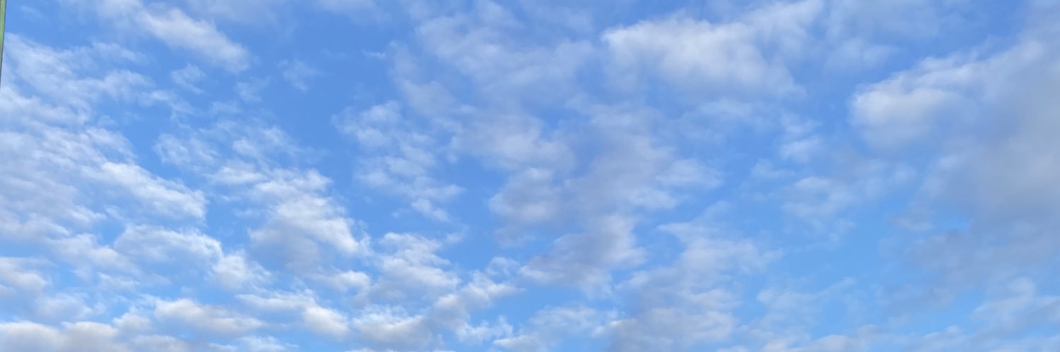 rebeccascott_'s profile banner image