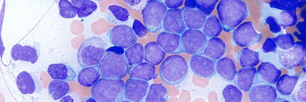 Julie Feldstein,MD banner