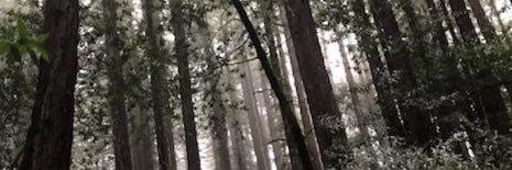 mikepuccinelli's profile banner image