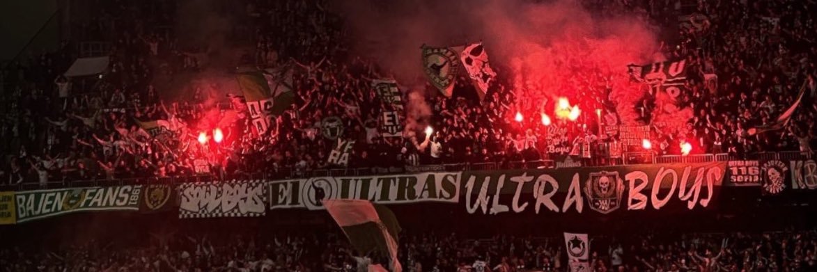Robin banner