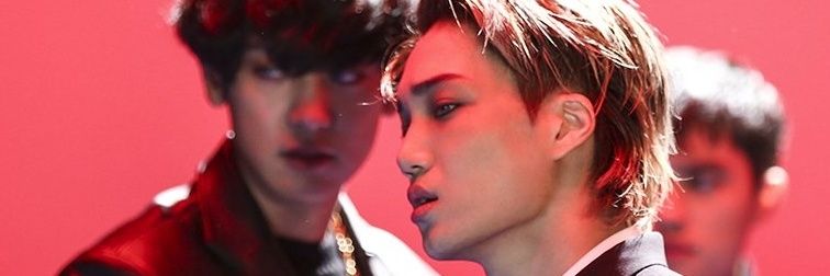 Chankai예헷 🐻🐯 banner