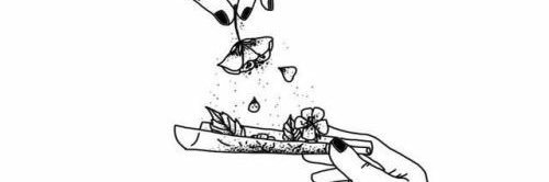 sweetparrillax's profile banner image