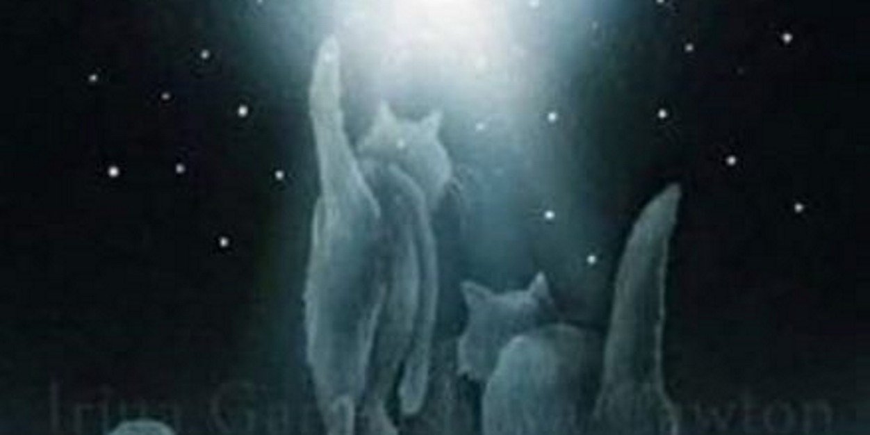 DayRomn's profile banner image