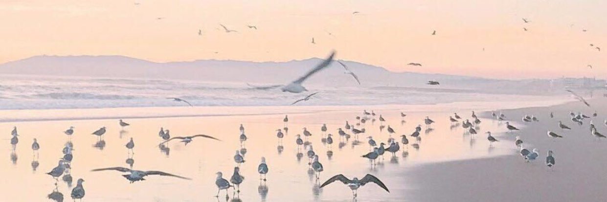 Amira ⚜️🇸🇦 banner