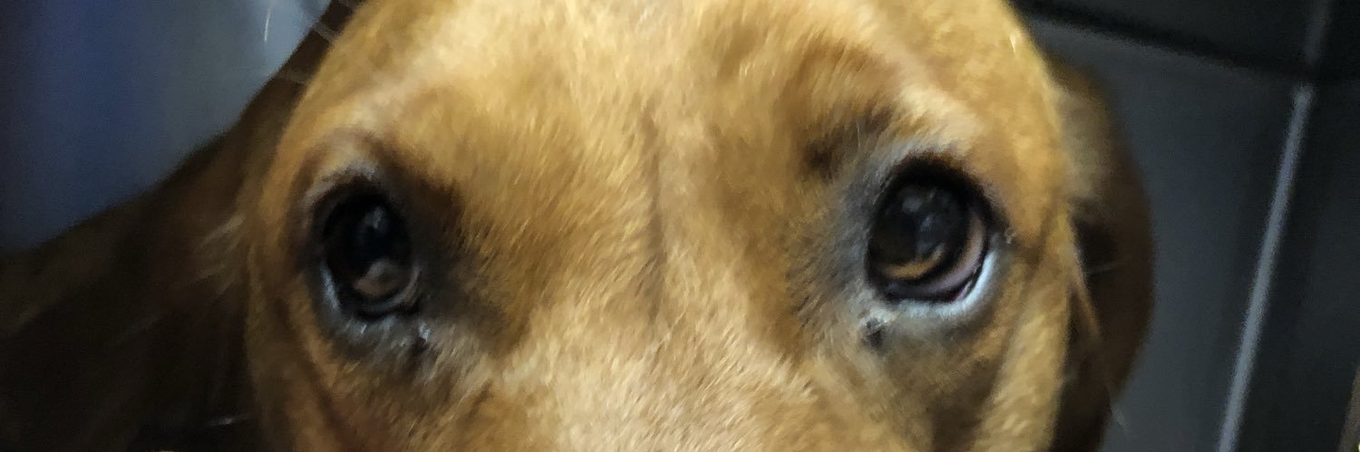 Jake_R0we's profile banner image