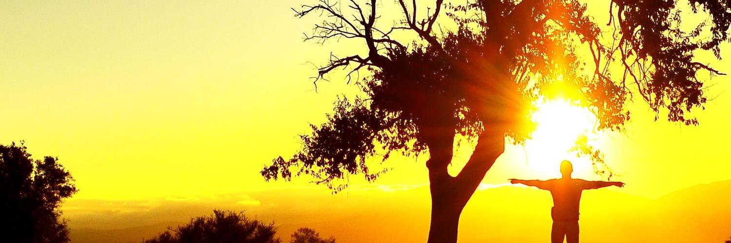 paulocesaraf's profile banner image