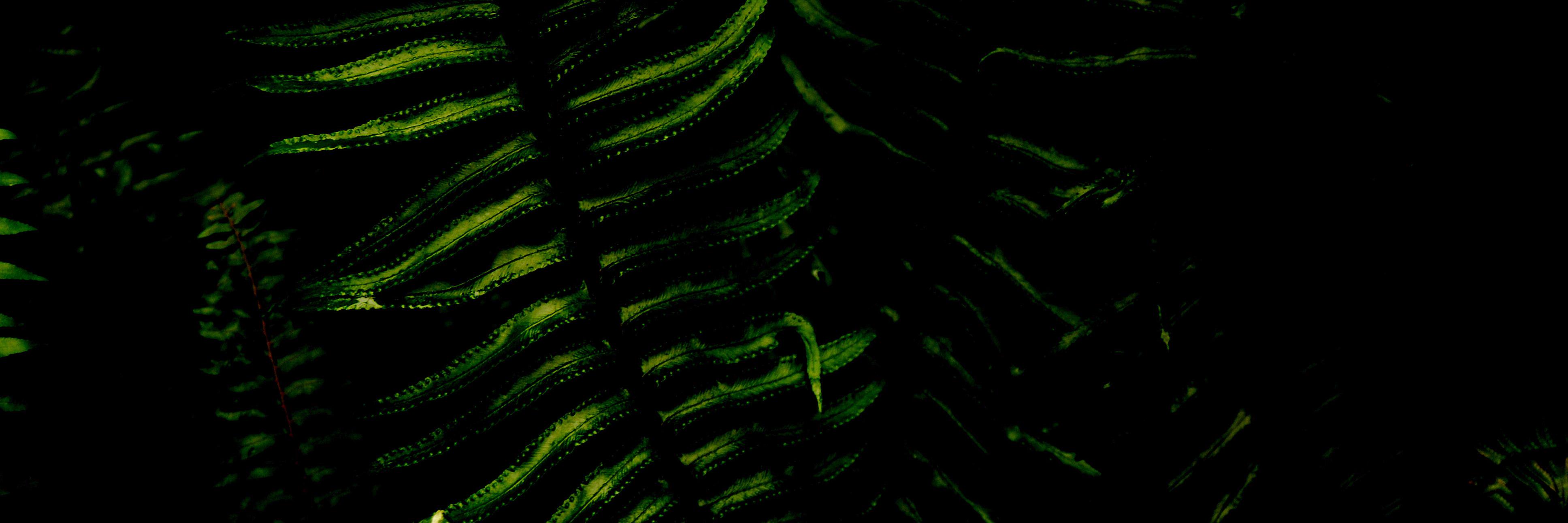 _hp___'s profile banner image