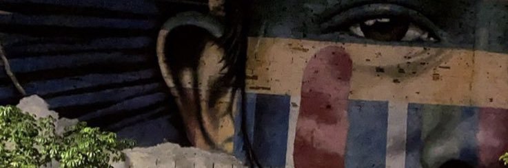 eriicamarques's profile banner image