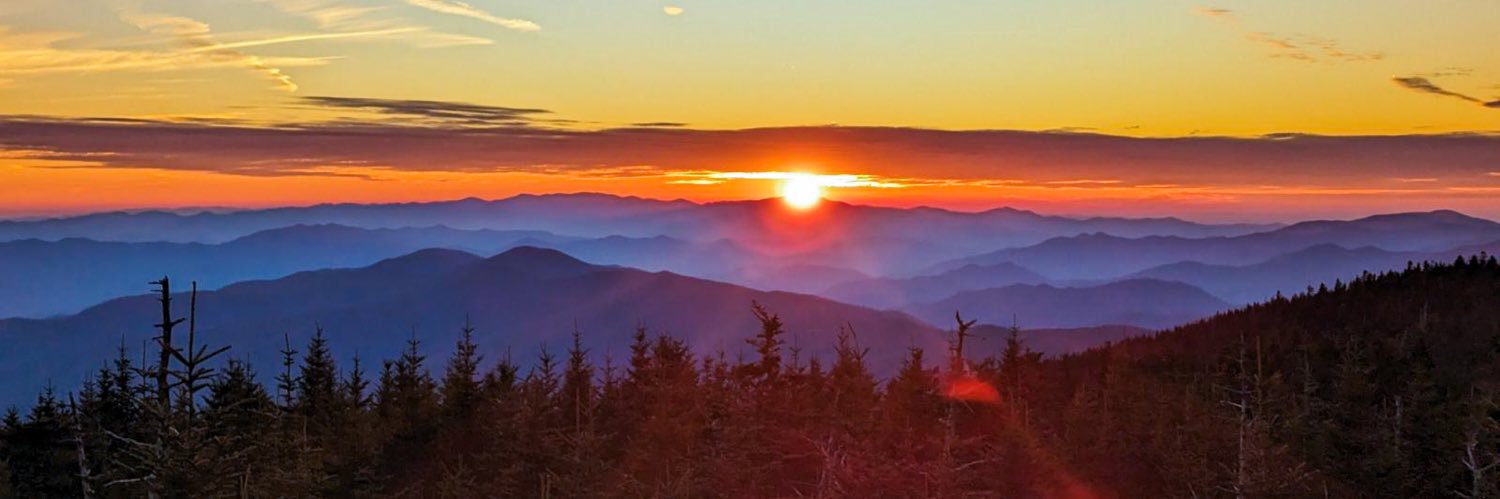 Matt L. Stephens banner