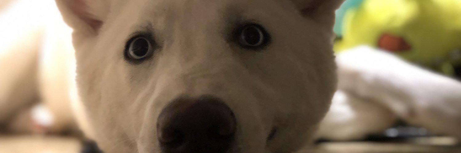 AlanSah_'s profile banner image