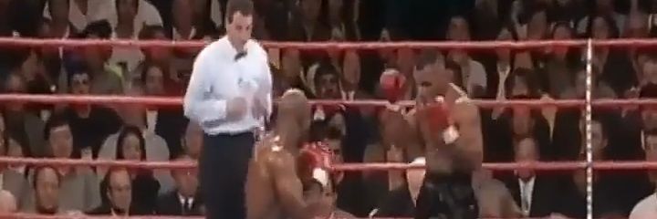 TheGreatBoxers's profile banner image
