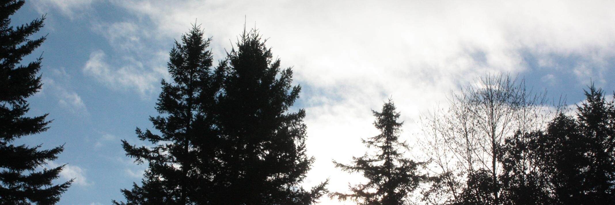 _felicityryan's profile banner image