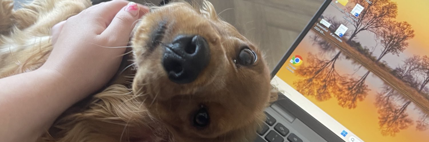 gogadandy's profile banner image