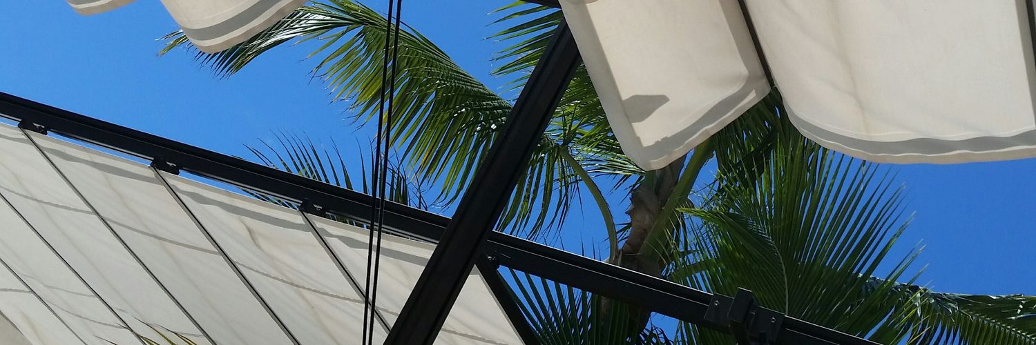 VisyDeleon's profile banner image