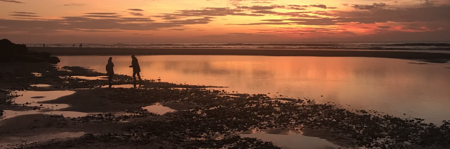 MrsPowderly's profile banner image