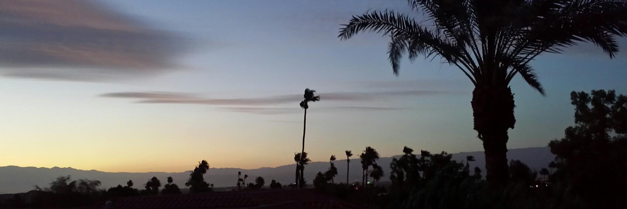 EricaPerezPR's profile banner image