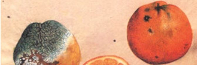 1parad0ks's profile banner image