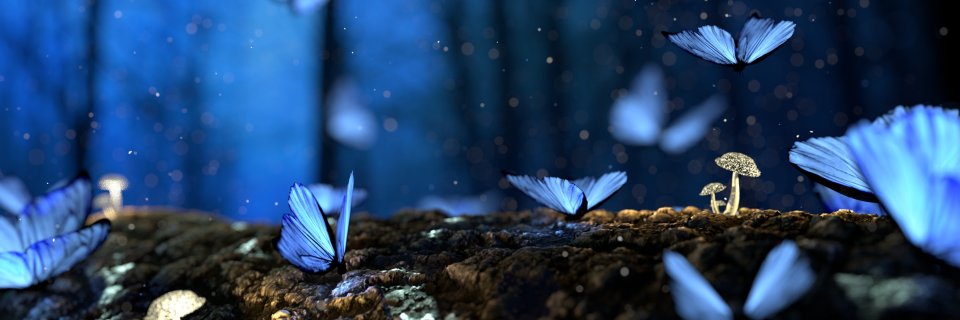 KeevaHadley's profile banner image