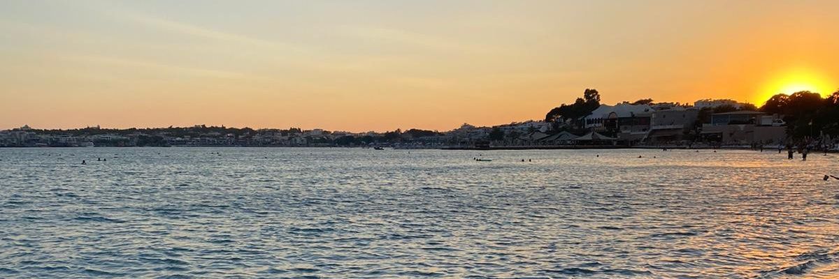 nese_uzun's profile banner image