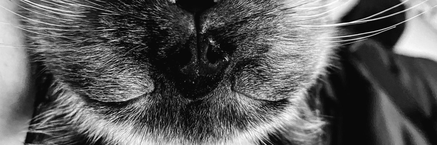 rafaellamac_'s profile banner image