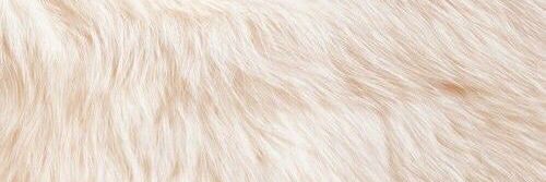 ThaliVera's profile banner image