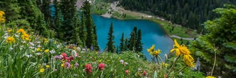 Beth⭐️🇺🇦 banner