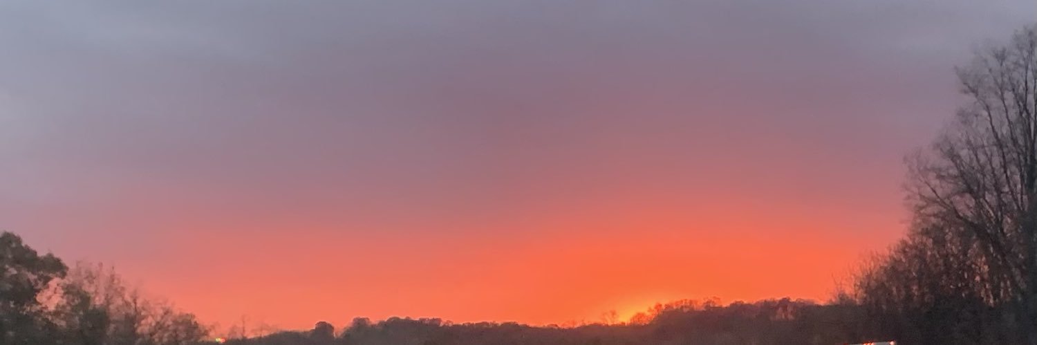 FarnsworthDawn's profile banner image