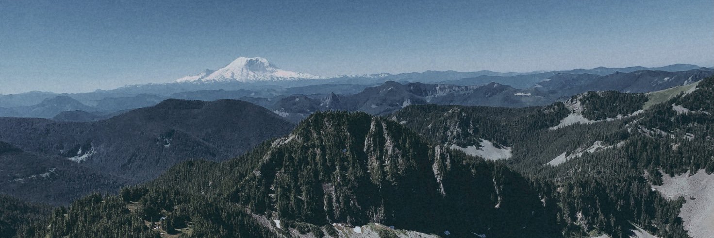 annieborg2's profile banner image