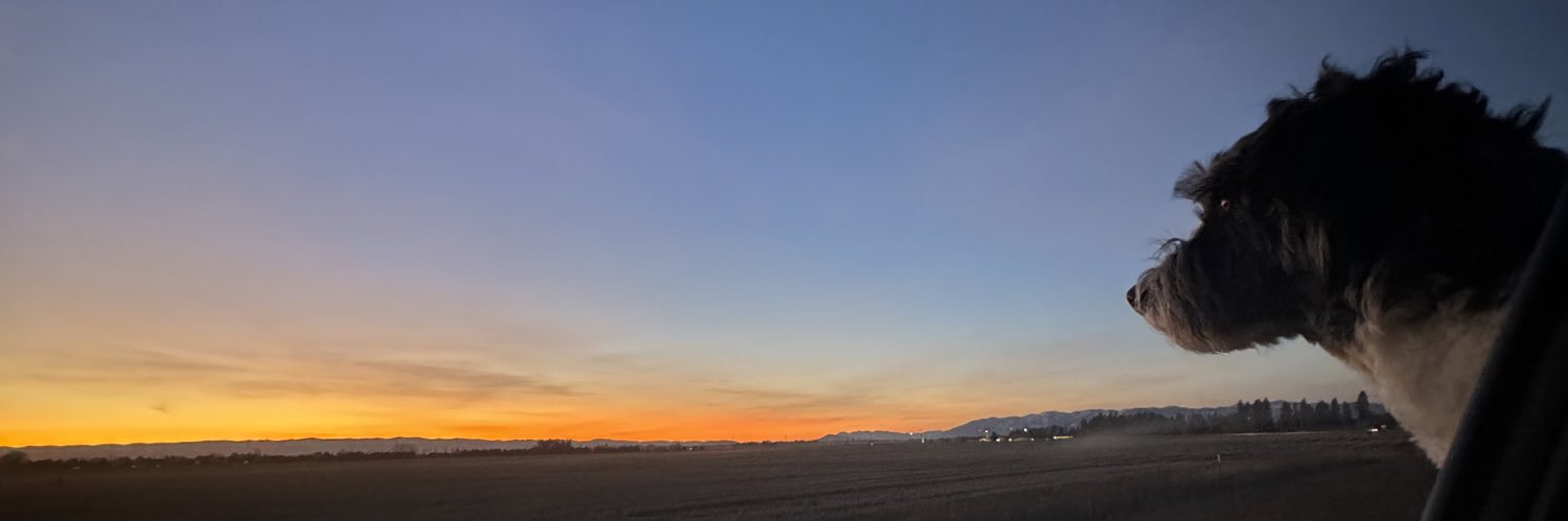 KhaleesiKy's profile banner image
